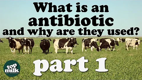 1. What is an antibiotic and why are they used?