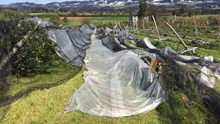 Destruction of Organic Farming Fields April 2017, English