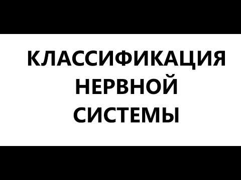 Классификация нервной системы: центральная и периферическая, соматическая и вегетативная