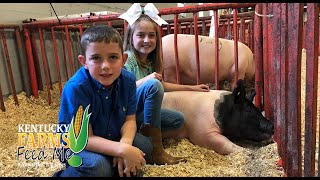 Kentucky Farms Feed Me  Visit a Pig Show and Pig Farm