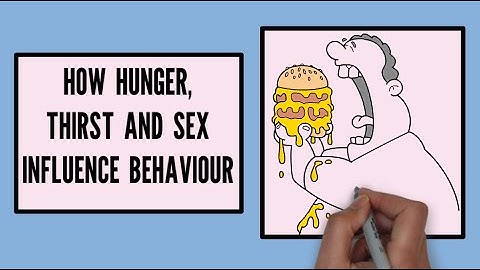 THE SCIENCE BEHIND HUNGER, THIRST AND SEXUAL MOTIVATION- Unlocking The Brain-Body Connection | CBSE