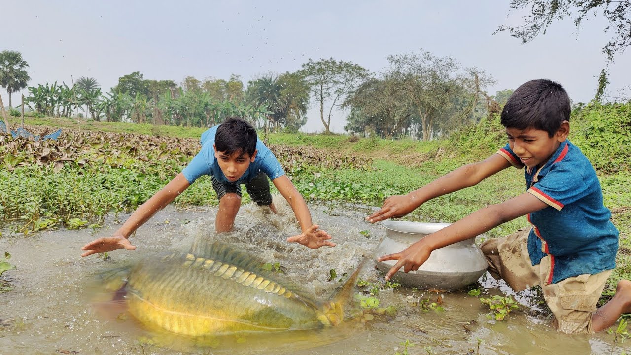 Amazing fishing videos ~ Smart Little boys catching carp fish By hand in the village Bill water