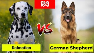 Dalmatian Vs German Shepherd in Hindi | Dog VS Dog | PET INFO | Which One is Best For You as Pet?