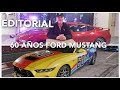 Editorial corto pero con nuevo mustang a fondo en interlagos  1442024