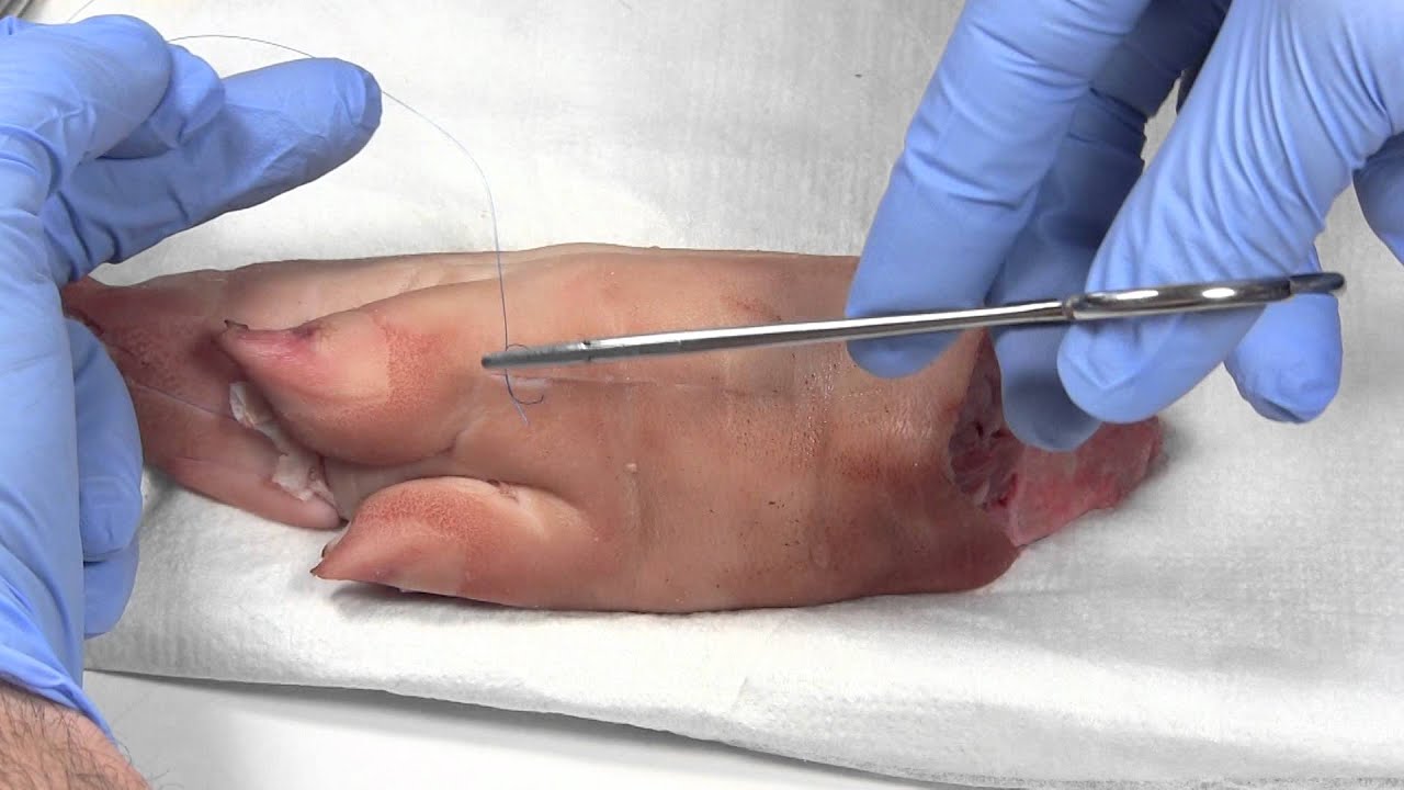 Amazon.com: suturing techniques