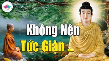 Phật Dạy Cách Kiềm Chế Và Chuyển Hóa Tức Giận I Cái Giá Của Sự Tức Giận, Sống Không Giận Dữ
