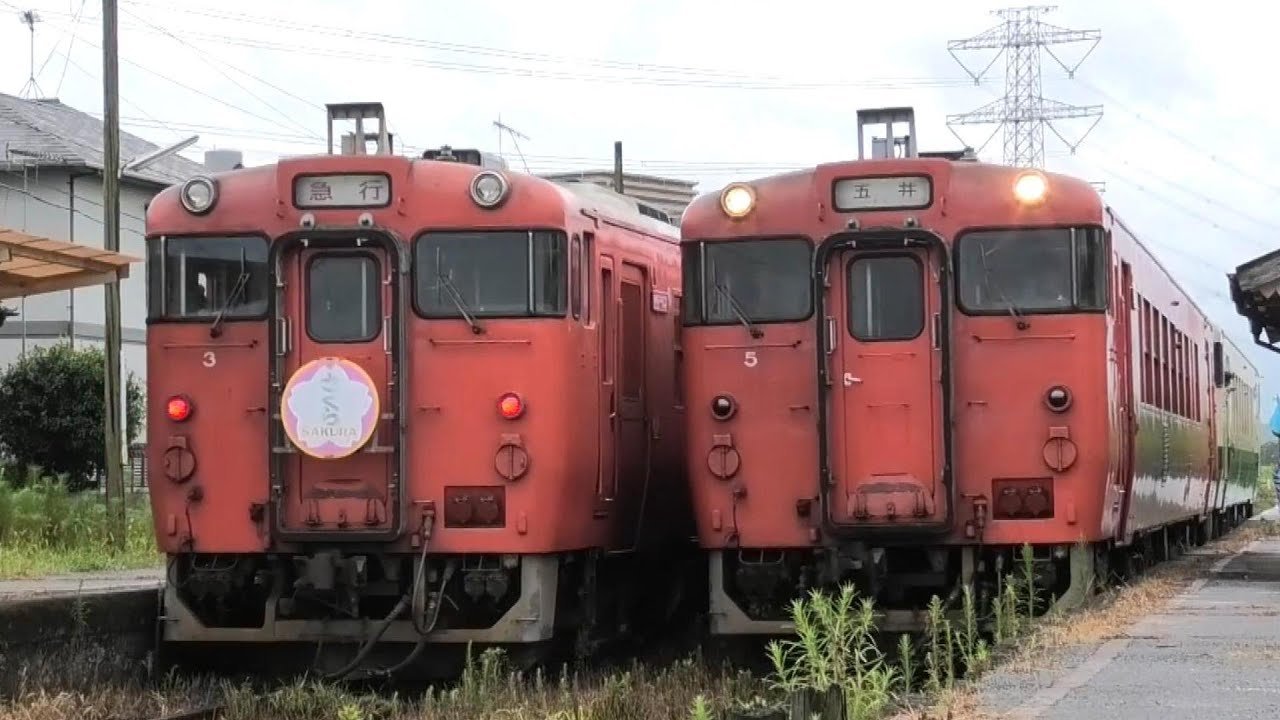 ゲリラ豪雨のさくら号】 小湊鐵道線 キハ40 観光急行 他2025.8