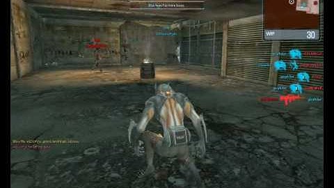 WolfTeam hacker: IIDevinePain