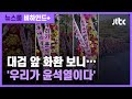 [비하인드+] '꽃길만 걸으라'…대검 앞 깔린 '윤석열 화환' / JTBC 뉴스룸