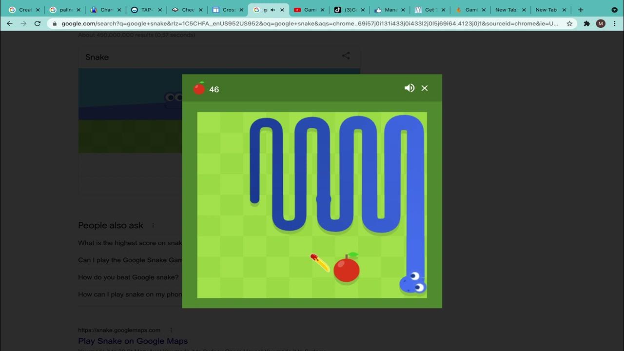 Google Snake (Web) high score by TravinaterGamesYT