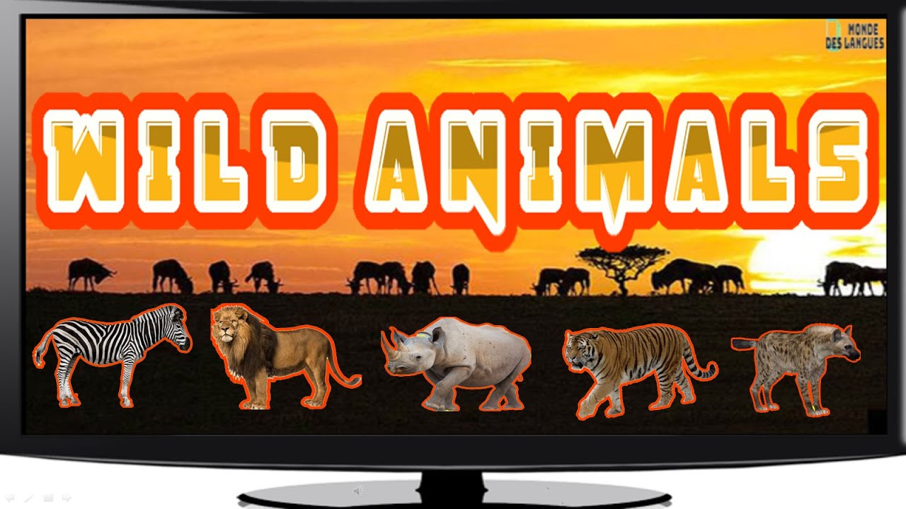 Wild animals names and their sound with real pictures - YouTube