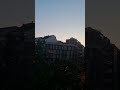 Magia crepuscular y lunita
