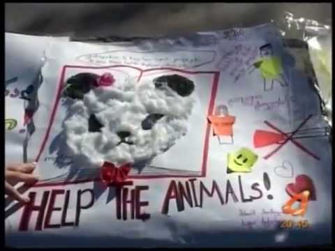 ვიდეო: ამერიკელი მკვლევარები ცხოველების ტესტირებას იცავენ