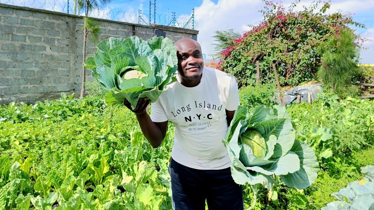 Growing Our Own Food From Garden to plate (@Backyardfarmfresh ) # ...