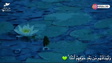 حالات واتس اب//قرآن كريم القارئ حذيفة الكعدي