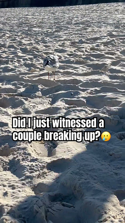 Well, i just witnessed a drama in the beach. They were walking closely together then this happened🙈