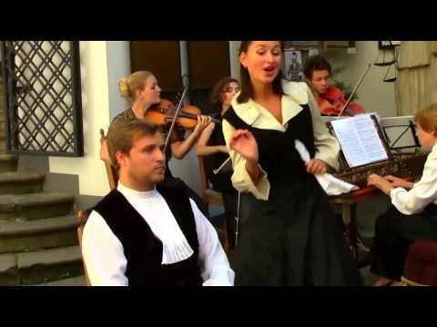 Служанка-дама