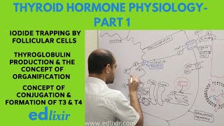 THYROID HORMONE SYNTHESIS - PART - 1 | ENDOCRINOLOGY