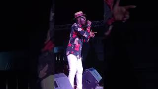 Daasebreba Kwame. Val’s Day. Live performance. Pure love. Real energy. through ❤️🎤 #fypシ #viral