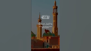 #سورة_التكوير #قرآن #اكسبلور #المصحف #foryou #duet