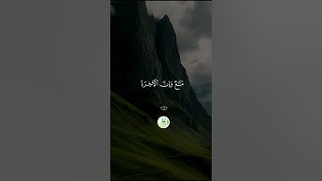سورة غافر  " الآية 38 -- 40 "  🕋