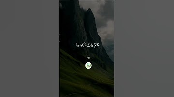 سورة غافر  " الآية 38 -- 40 "  🕋