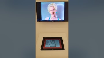 Interaction with Lynn Hershman Leeson