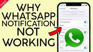 Fix Whatsapps iPhone Notification Not Working 2022