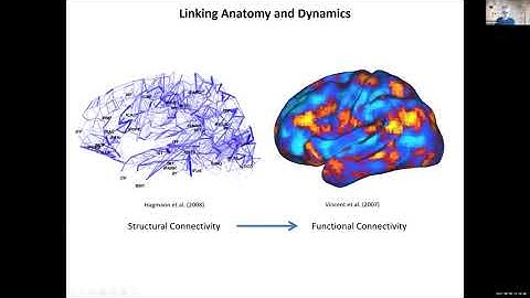 Brain Networks: Structural and Dynamic Substrates of Cognitive Architectures? – Olaf Sporns