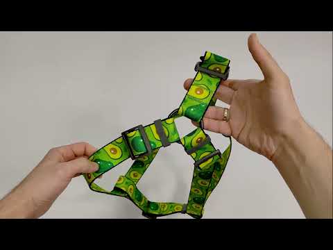 Шлея для собак WAUDOG Nylon з QR паспортом, малюнок "Кавун", пластиковий фастекс, XL, Ш 35 мм, А=В 70-100 см, видео 1