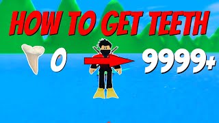 How To Get Teeth FAST In Sharkbite! How To Get Teeth FAST In Sharkbite!