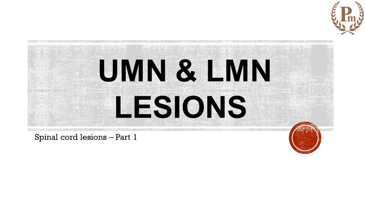 differentiate-between-umn-and-lmn-lesions-youtube