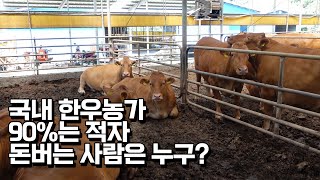 은행 그만두고 귀농해서 7년만에 한우 300마리 늘린 비결은?