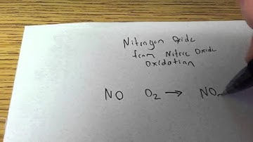 Nitric Oxide Oxidation into Nitrogen Dioxide
