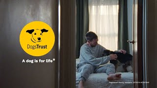 The story of Rob and Milo | Dogs Trust