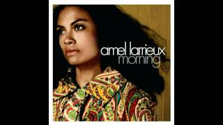 Amel﻿ Larrieux﻿-Trouble chords