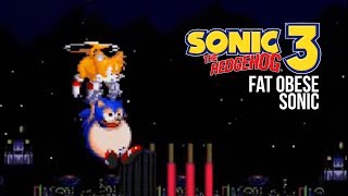 Sonic 3 FAT OBESE SONIC! Gameplay footage simulated