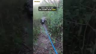 He Thought He Caught a Fish — But a Crocodile Came Instead!