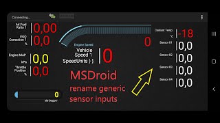 MSDroid rename generic sensor inputs screenshot 1