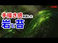 【背景イラストメイキング】手描き風に描く森と岩と苔と【background art tutorial 】