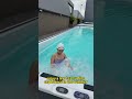 Thinking of installing a swimming pool in 2025?