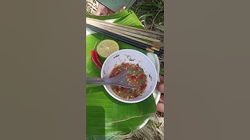 Cá Nướng Chui tại nhà 🤟