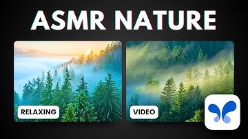 Create Relaxing ASMR Pine Forest Video with Free AI Tools