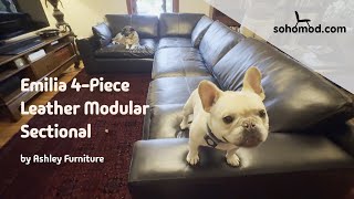 Emilia Leather Sectional Sofa Review 2025 | Comfort Test with Dogs + Living Room Tour