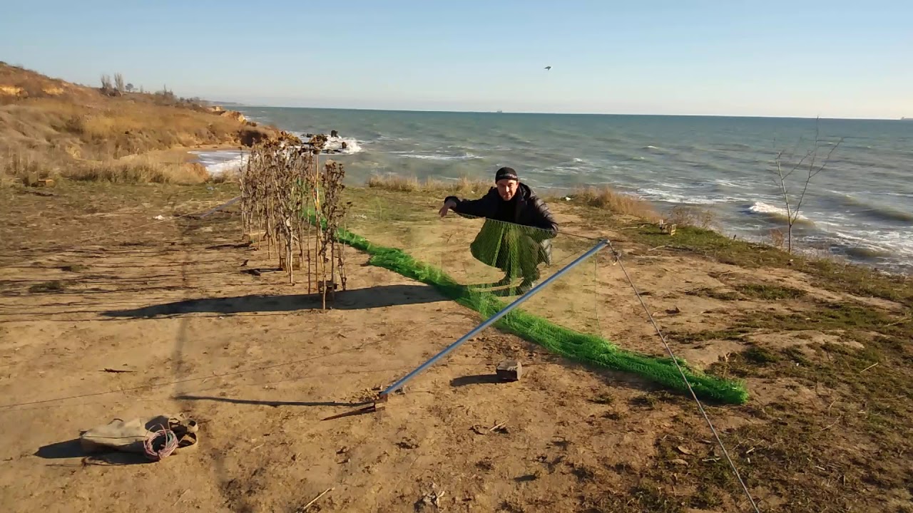 Тайник для ловли птиц своими руками схема