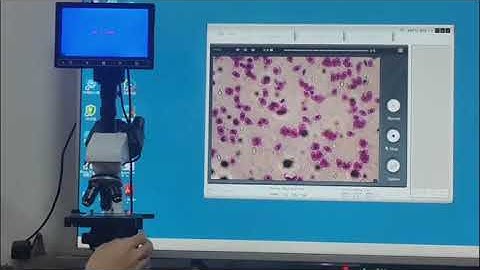 How to take still photos and videos?