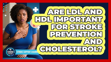 Are LDL And HDL Important For Stroke Prevention And Cholesterol? - Stroke Support Channel