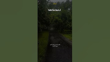 (والله يريد ان يتوب عليكم)القارئ:عمر بن ضياء الدين #تلاوة_خاشعة