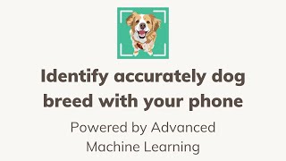 Dog Identifier - Puppy Scanner - Identify Your Dog 's Origin Just By Your iPhone #shorts screenshot 4