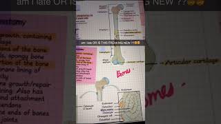 Freenotes use “SHREE04” for 50% off#goodnotes #studytok #freenotes #ipadtips #ipad
